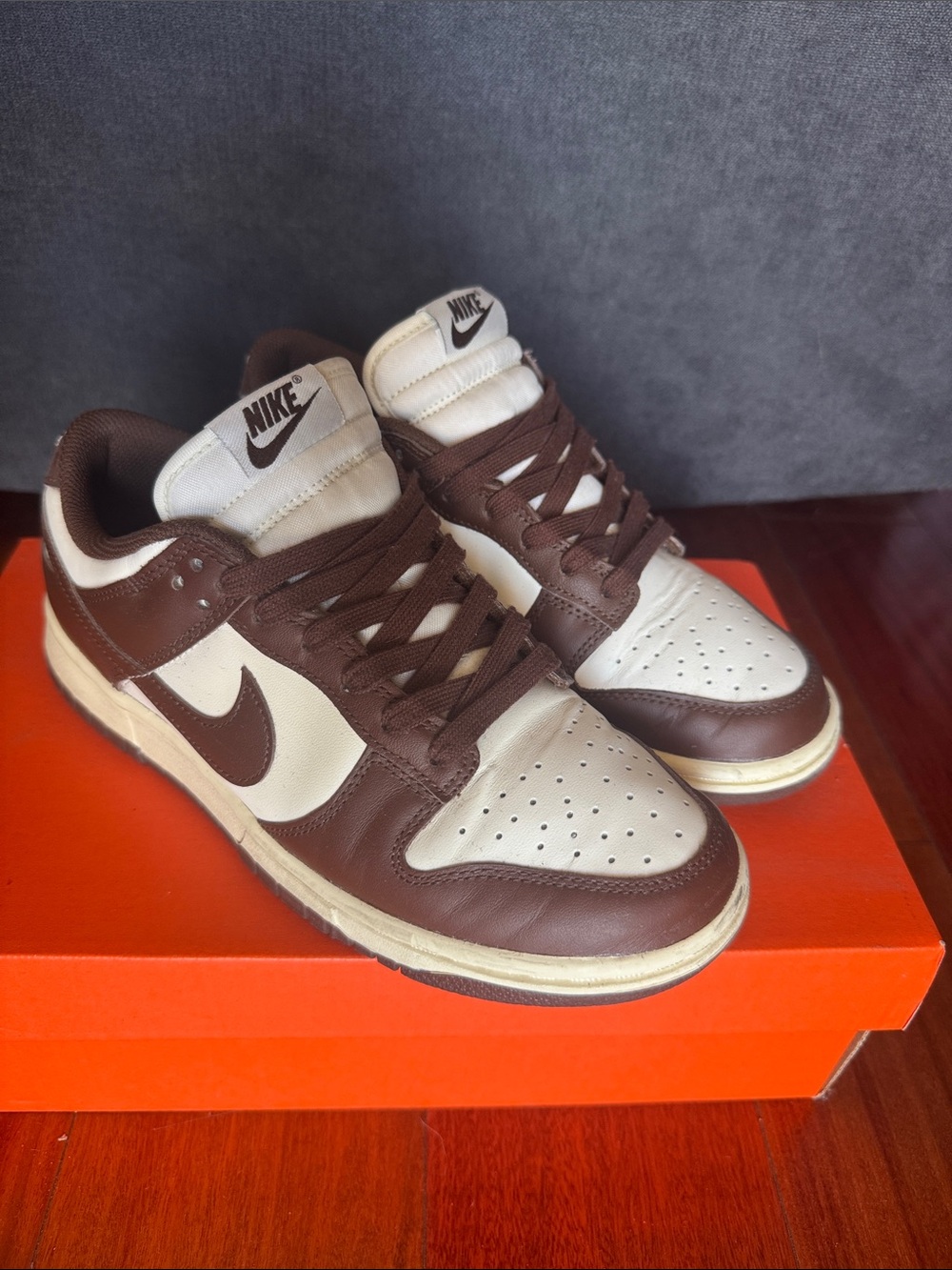 Nike Dunk Low Women Shoe
